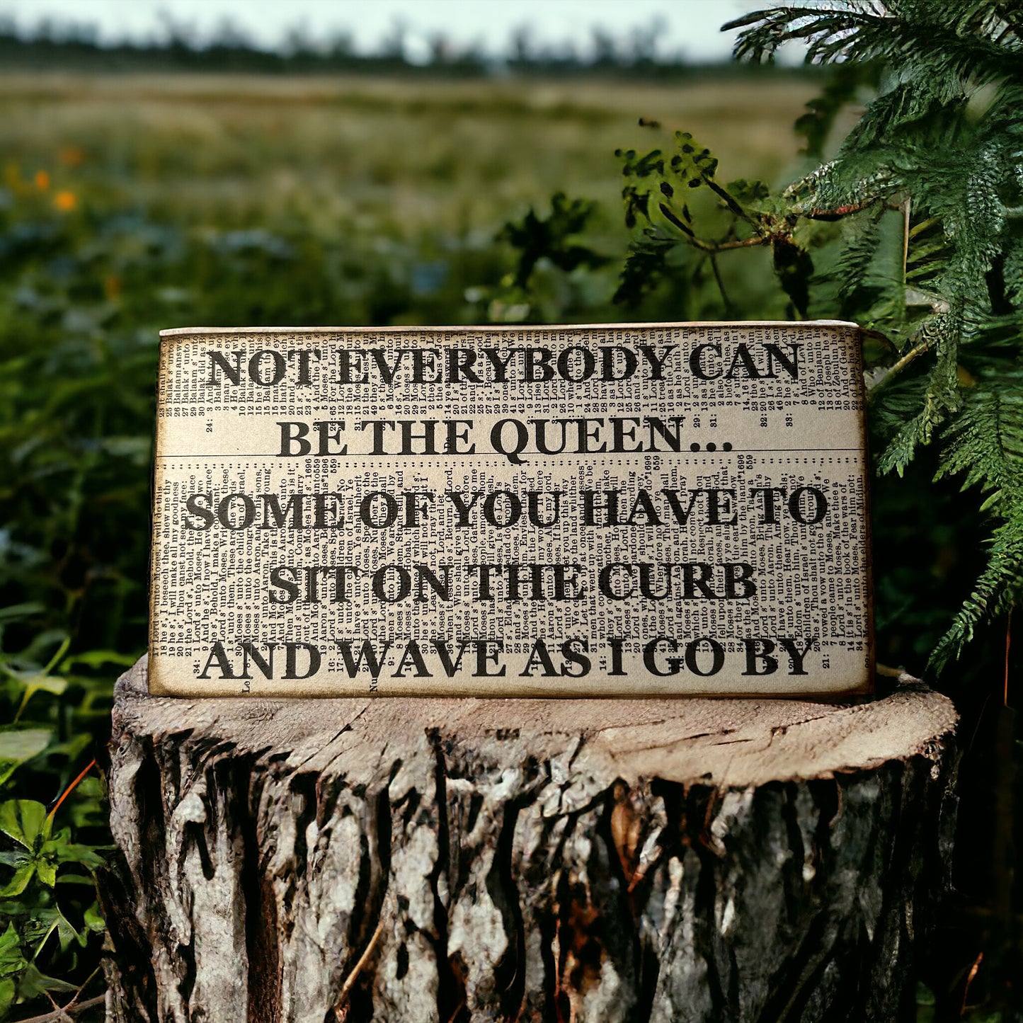 Not everybody can be the queen sign
