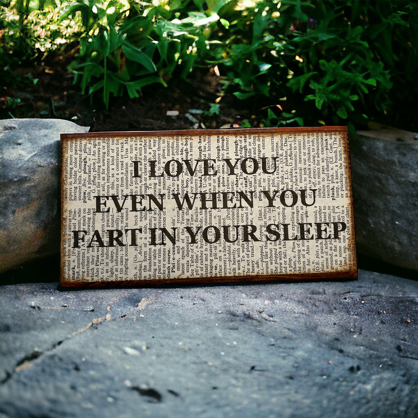 I love you even when you fart in your sleep sign