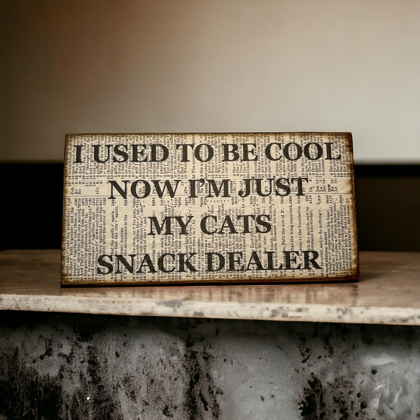 I used to be cool now i am just my cats snack dealer sign