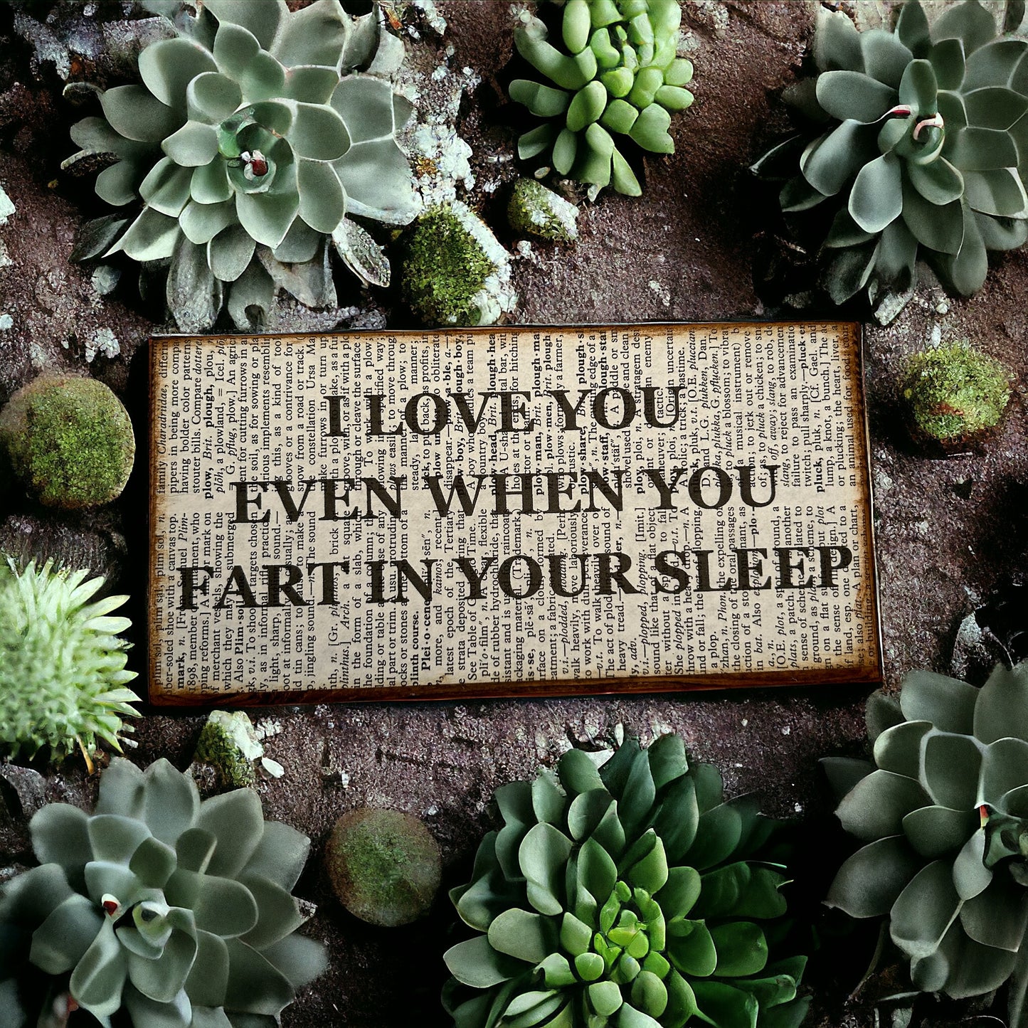 I love you even when you fart in your sleep sign