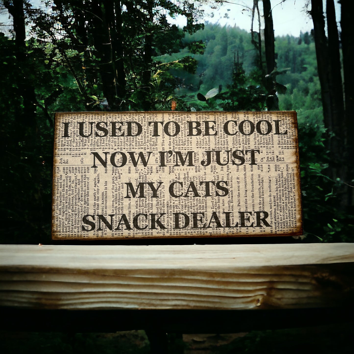 I used to be cool now i am just my cats snack dealer sign